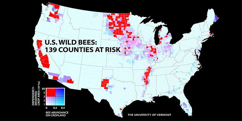 Mapping Model Estimating Wild Bee Populations