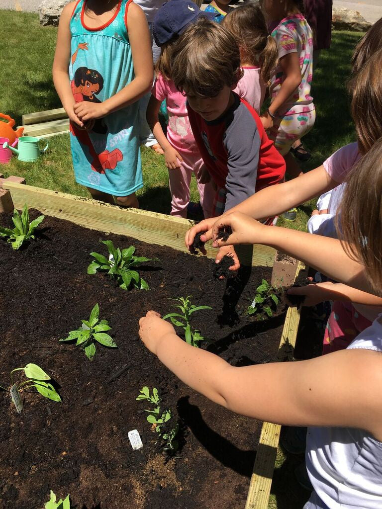 L'Ecole Francaise du Maine plants a pollinator garden!