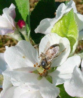 Vermont Pollinator Protection Committee