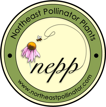 Logo for Northeast Pollinator Plants, bee, native plant, coneflower.